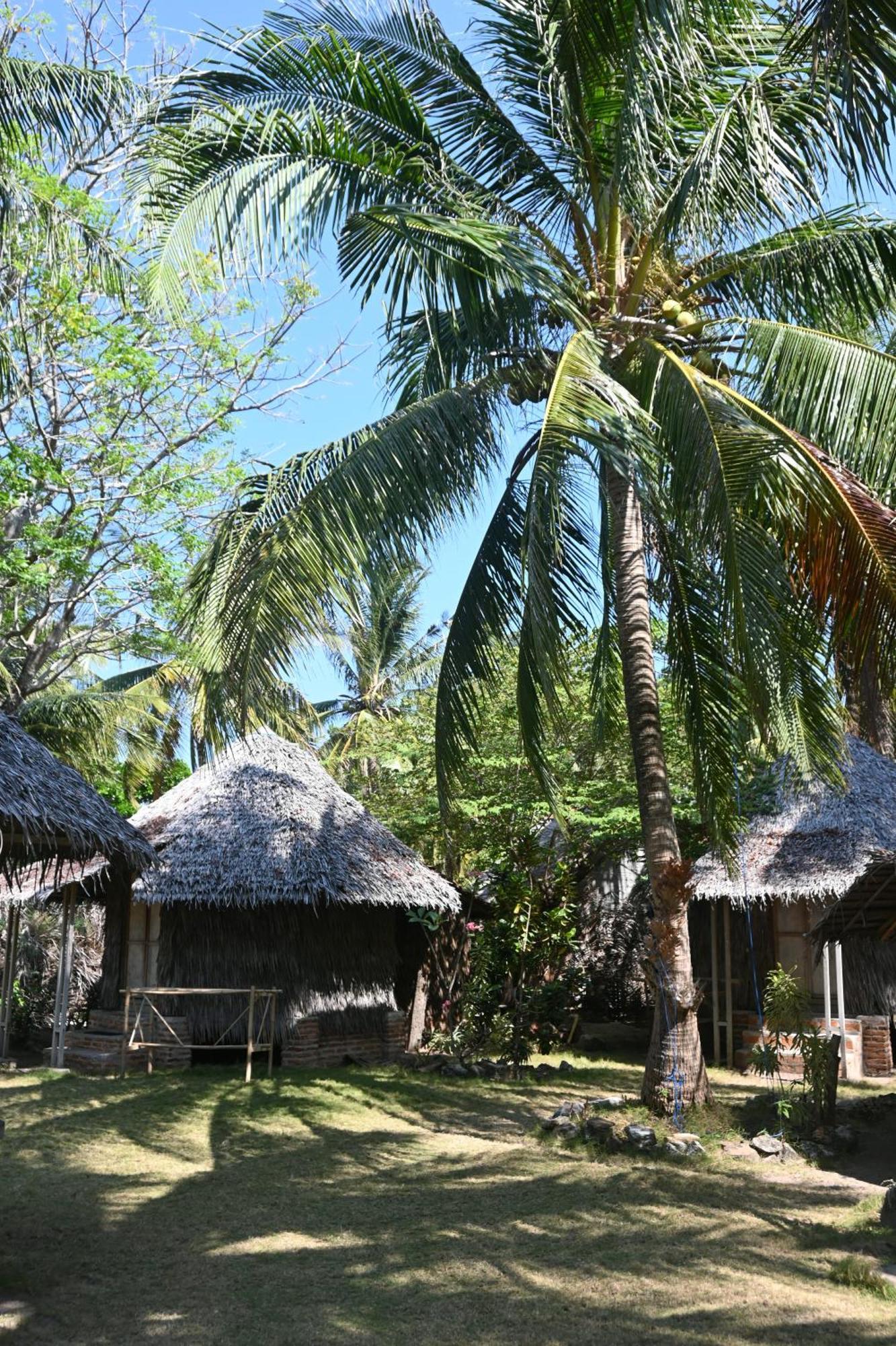 Bunga Jabe Villa การีมุนยาวา ภายนอก รูปภาพ